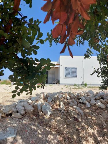Φωτογραφία από το άλμπουμ του Casa Palombara - Healiday in Torre Salsa σε Montallegro