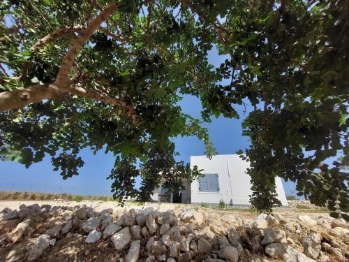 Φωτογραφία από το άλμπουμ του Casa Palombara - Healiday in Torre Salsa σε Montallegro
