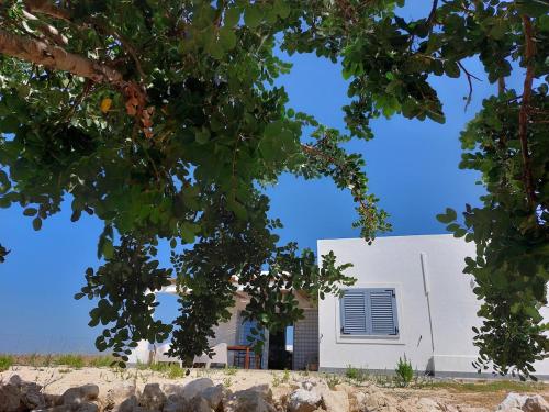 Το κτήριο όπου στεγάζεται  η βίλα