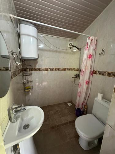 ein Badezimmer mit Toilette und Waschbecken in der Unterkunft Ene sai in Karakol