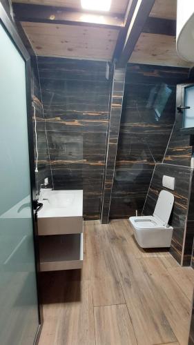 a bathroom with a sink and a toilet at Vila Alpine Arlon Gjinar in Gjinar