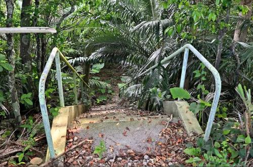 a wooden bridge in the middle of a forest at ハイ沖縄金武店トイレお風呂共用 プレオープン中駐車場有 ペット同伴可能長期滞在可能2025年10月より車貸し出しサービス有希望であればお申し付けください in Kin