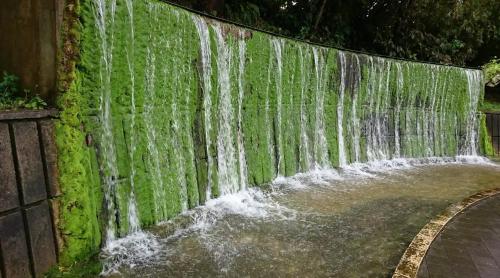 a waterfall on the side of a wall at ハイ沖縄金武店トイレお風呂共用 プレオープン中駐車場有 ペット同伴可能長期滞在可能2025年10月より車貸し出しサービス有希望であればお申し付けください in Kin