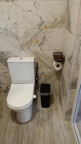 a bathroom with a white toilet and a trash can at Khachatryan's Guest House in Yeghegnadzor