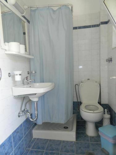 uma casa de banho com um WC, um lavatório e um chuveiro em Logaras Apartments em Agia Effimia