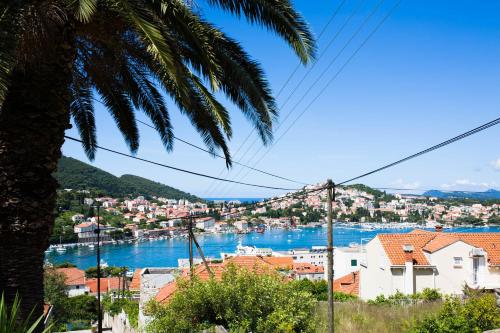 Apartments Dubrovnik Palm Tree Paradise