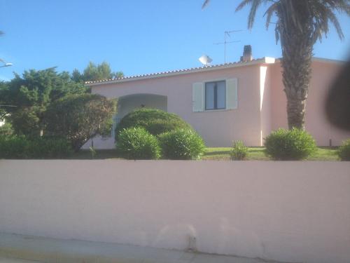 a house with a palm tree in front of it at Villa Diana affitta camere in Stintino