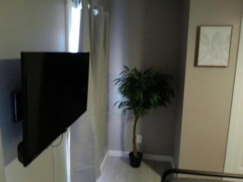a television in a room with a potted plant at King Bed Creekfront Retreat in Jacksonville in Jacksonville