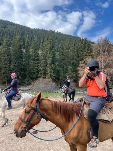Zvířata v prázdninového domu nebo okolí