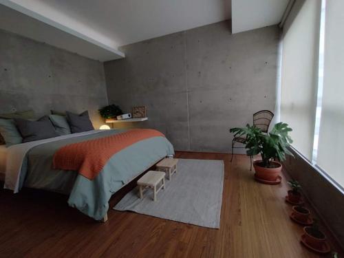 a bedroom with a large bed and a potted plant at Cute Condesa Studio Indoor Pool Nice Gym in Mexico City