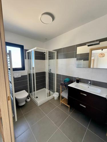 a bathroom with a shower and a toilet and a sink at Villa de Luxe avec Piscine à débordement chauffée à Porticcio in Porticcio