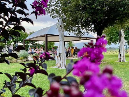 a group of people sitting under a white umbrella at Agriturismo La Colmata in Cesa