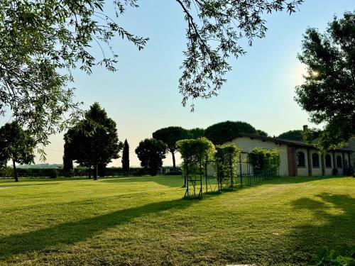 a group of trees in a field next to a building at Agriturismo La Colmata in Cesa