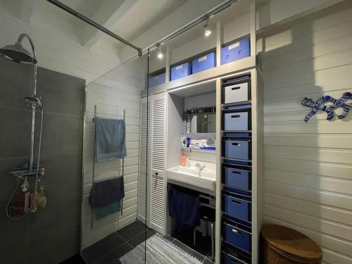 Koupelna v ubytování Villa les Arbres Bleus à La Saline les bains proche lagon