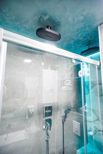 a bathroom with a shower with a glass wall at Studio apartman Navis 2 in Slavonski Brod