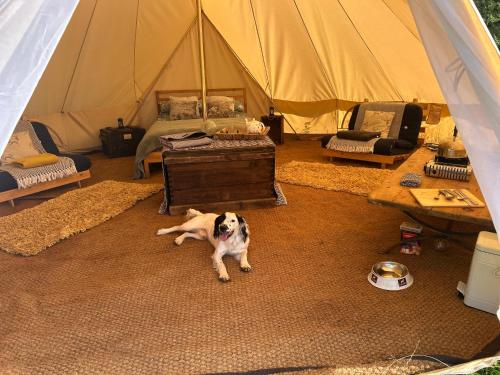 Fotografie z fotogalerie ubytování Campston Hill Wild Glamping v destinaci Llangattock Lingoed