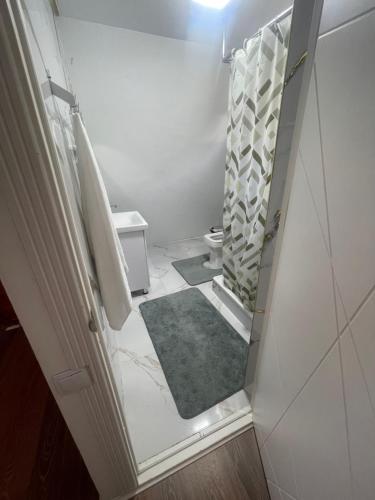 a small bathroom with a toilet and a shower at Алтын Балык in Toktogul