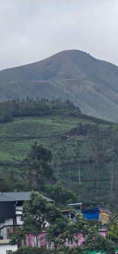 a hill with trees and houses in front of a mountain at The Green Regency Annexe in Munnar