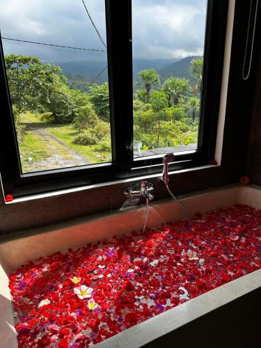 a bath tub filled with red flowers in front of a window at Umah tumbu villa, private villa in Seraya