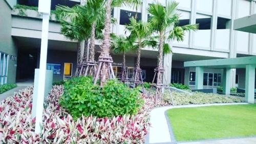 a garden in front of a building with palm trees at Studio Seaview Jomtien floor12 23sqm in Jomtien Beach