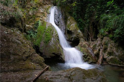 a waterfall in the middle of a forest at Maison Lepore in Vietri di Potenza