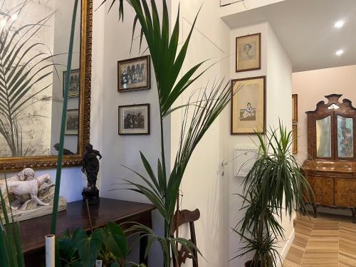Belle Arti Home