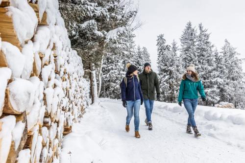 Bergseele Privat- & Retreathotel Schwarzwald v zimě