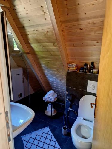 a small bathroom with a toilet and a sink at Fikro's Resort in Kulen Vakuf