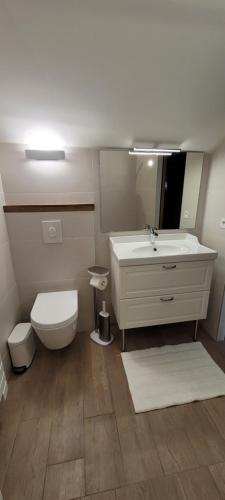 a bathroom with a sink and a toilet and a mirror at La petite maison de Marigné in Moulins