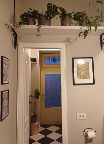 a hallway with a door with potted plants on a shelf at Casa Horea 54 in Cluj-Napoca