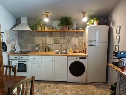 Una cocina con un refrigerador blanco y un fregadero. en Casa Horea 54, en Cluj-Napoca
