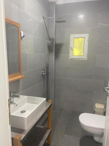 a bathroom with a sink and a toilet and a shower at Vila Rei in Borsh