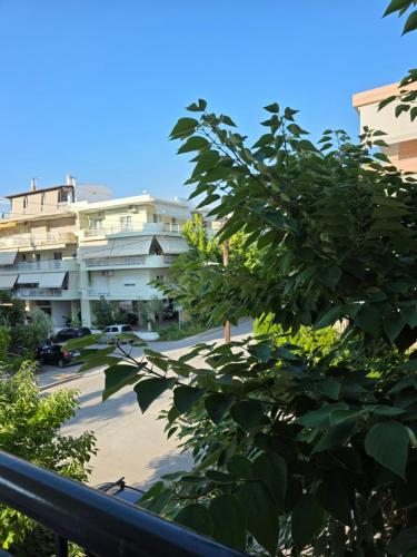 a tree in front of a street with buildings at Odyssey Mare Steps from the Sea in Perea