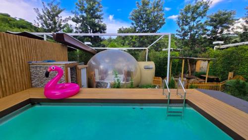 a swimming pool with a plastic pink flamingo next to a bubble ball at The X10 Nordic Tent and Glamping Pool Villa Khaoyai เขาใหญ่ - SHA Certified in Ban Thung Sawang