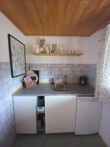 eine kleine Küche mit einer Spüle und einer Theke in der Unterkunft Apartement für Naturliebhaber in Fischbachau