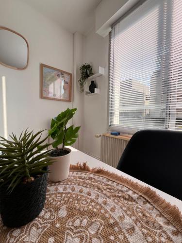 a room with a table with two potted plants on it at Hypercentre Béthune - 4 pers - Parking privé in Béthune
