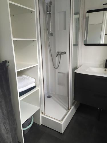 a bathroom with a shower and a sink at A 200 m du centre historique, profitez d'un T2 spacieux avec balcon et parking privé in Quimper