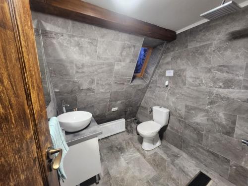 a bathroom with a toilet and a sink at Cabana Golden Sunset in Mărişel