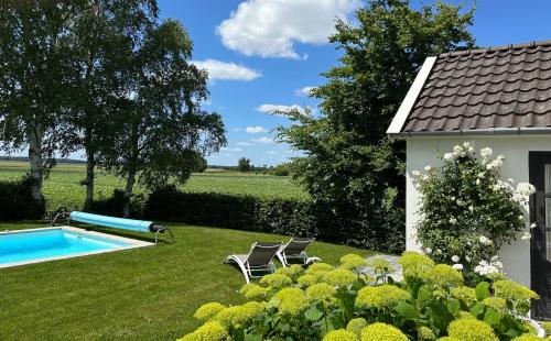 a yard with a swimming pool and a house at B&B Droom 44 in Buinerveen
