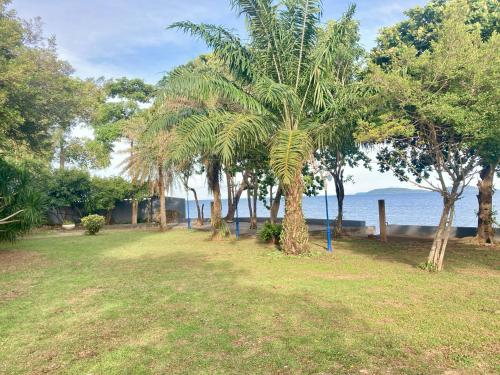 a row of palm trees in a park near the water at Love at First Sight in Chumphon