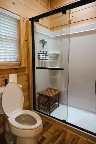 a bathroom with a toilet and a glass shower at Tri-Lake Escape in Naples