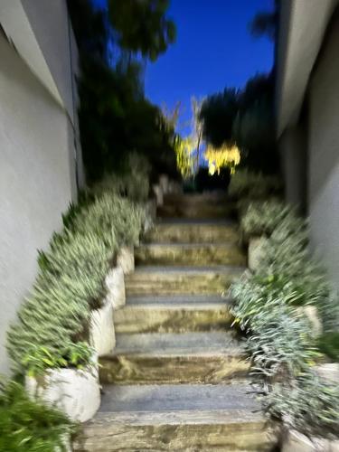 a set of stone stairs with grass on them at Hilltop Villa in Shetaj