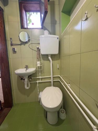 a small bathroom with a toilet and a sink at Етно кућа Нана Добра in Dimitrovgrad