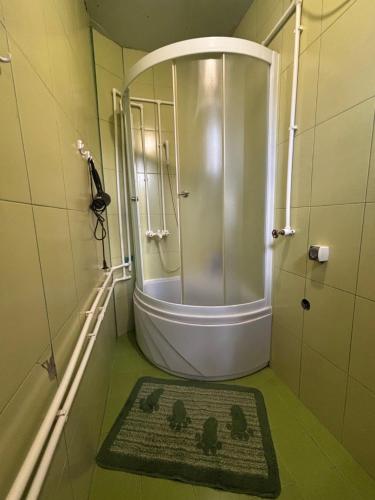 a bathroom with a shower with a rug on the floor at Етно кућа Нана Добра in Dimitrovgrad