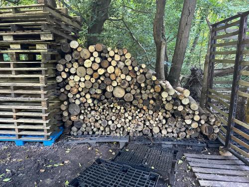 Fotografie z fotogalerie ubytování Clairière de 3000m2 en pleine forêt v destinaci Luzarches