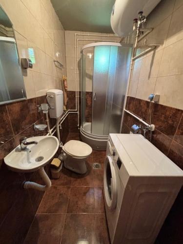 a bathroom with a sink and a toilet and a shower at Етно кућа Нана Добра in Dimitrovgrad