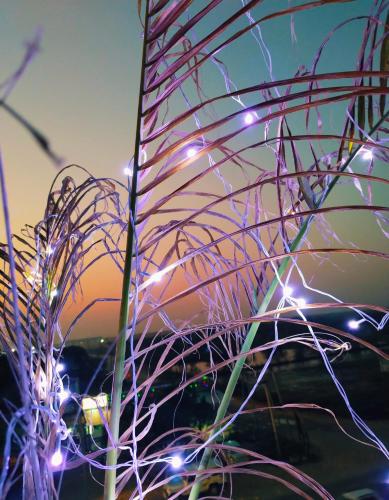 a close up of a plant with christmas lights at Hotel vijay in Palāi