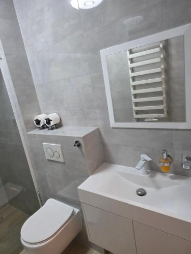a bathroom with a toilet and a sink and a mirror at Jagodowy Ski&Spa DeLux apartamenty z widokiem na góry,4km od Zieleniec Ski Arena Podgrzewany basen zewnętrzny latem,bilard,Wi-Fi w cenie Restauracja,balia,sauna na miejscu in Lasowka