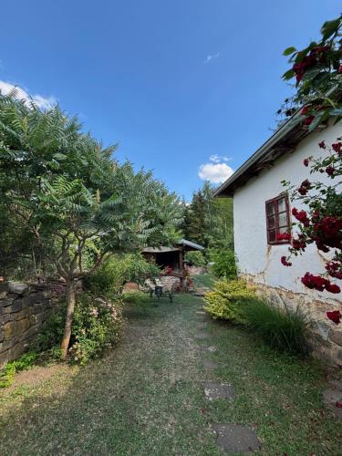 a house with a tree in front of a yard at Етно кућа Нана Добра in Dimitrovgrad