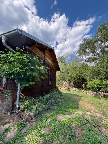 a small wooden house with a tree next to it at Етно кућа Нана Добра in Dimitrovgrad